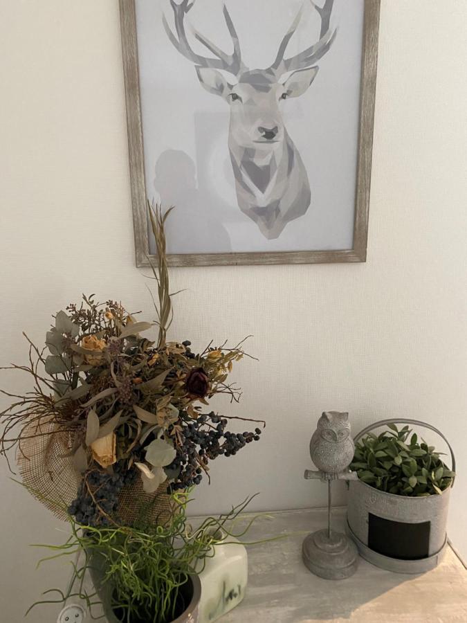 Magnifique Appartement Au Coeur De Mulhouse Buitenkant foto